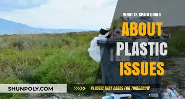 Spain's Plastic Problem: Solutions and Initiatives