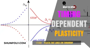 Unveiling Spike Timing Dependent Plasticity: Brain's Intricate Dance