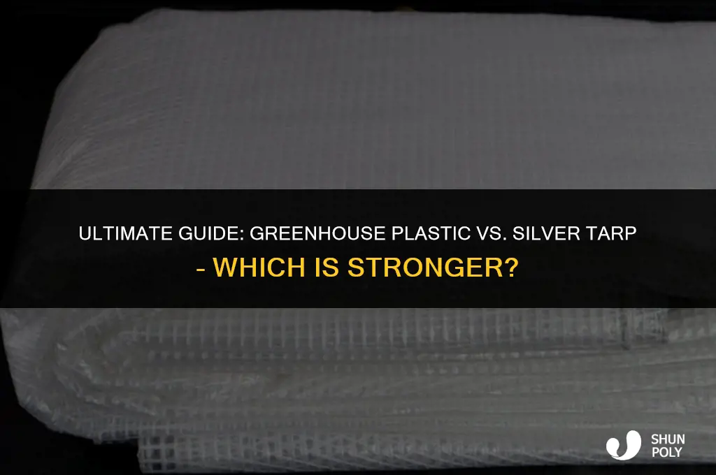what is syronger greehouse plastic or silver tarp