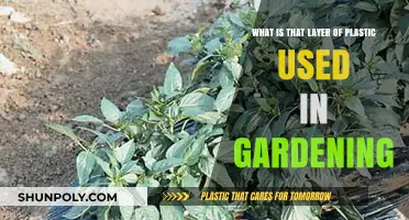Unveiling the Benefits of Plastic Mulch in Modern Gardening