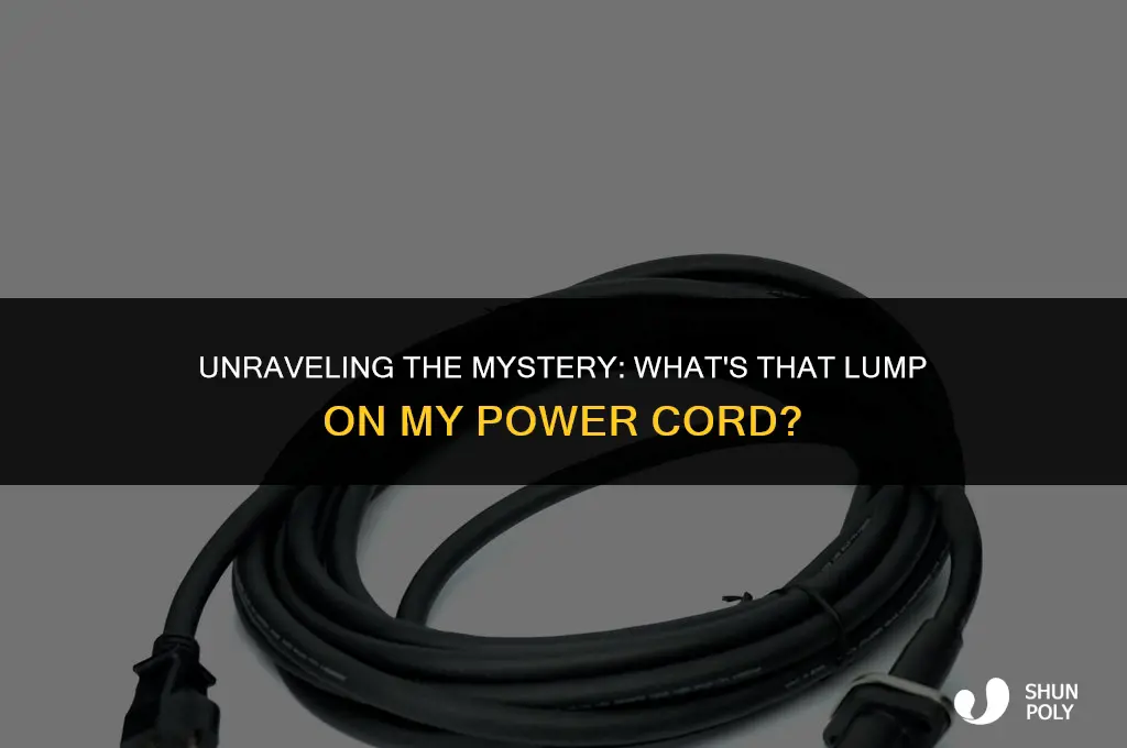 what is that lump of plastic on my power cord