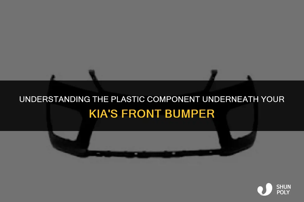 what is that part plastic underneath kia front