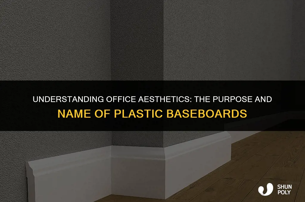 what is that plastic baseboard always in offices called