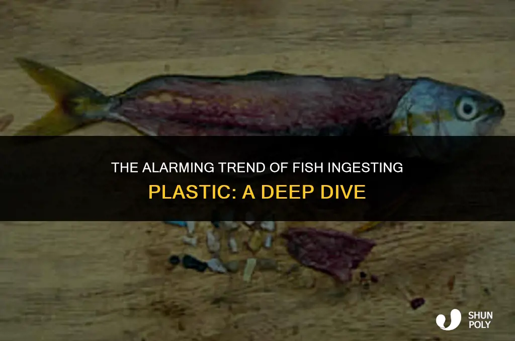 what is that word for when a fish swallows plastic