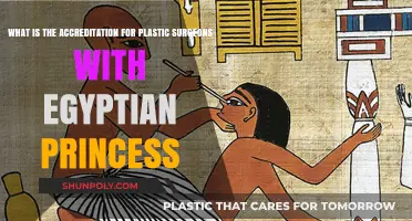 Egyptian Princess Plastic Surgeons: Accreditation and Royal Aesthetic Standards