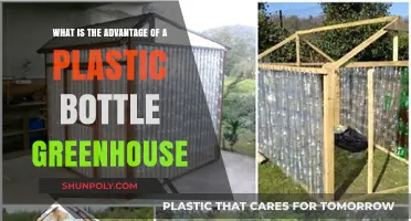 Eco-Friendly Gardening: Benefits of Plastic Bottle Greenhouses Explained