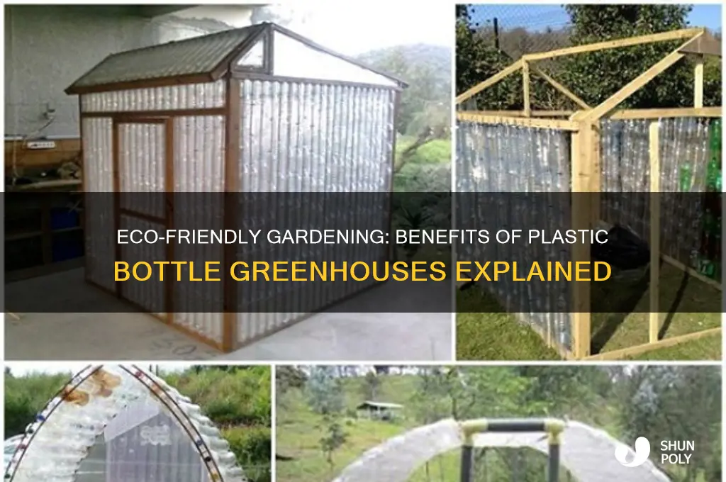 what is the advantage of a plastic bottle greenhouse