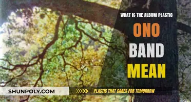 Unveiling the Meaning Behind Plastic Ono Band's Iconic Album