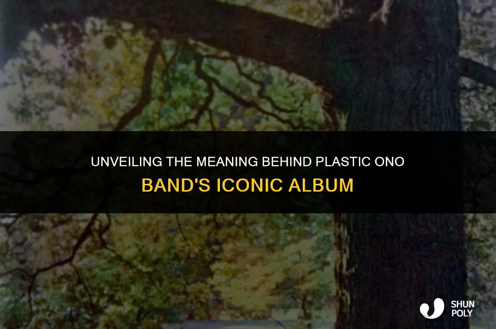 what is the album plastic ono band mean