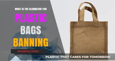 Eco-Friendly Alternatives to Plastic Bags Post-Ban: Sustainable Solutions