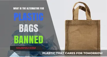Eco-Friendly Alternatives to Plastic Bags: Sustainable Options Post-Ban