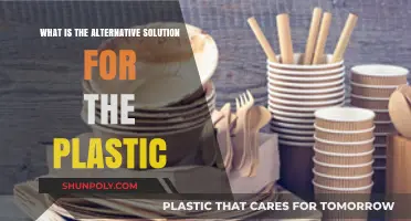 Exploring Sustainable Alternatives to Plastic: A Comprehensive Guide