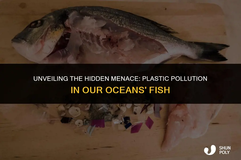 what is the average amount of plastic found in fish