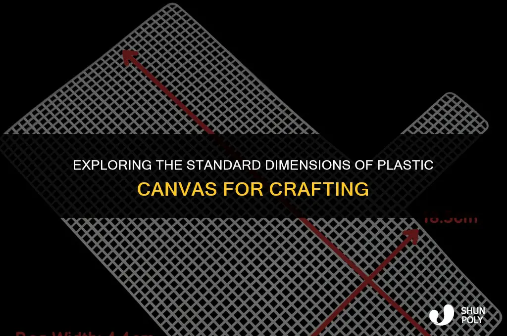 what is the average size of plastic canvas