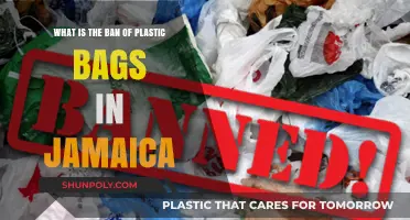 Jamaica's Plastic Bag Ban: Environmental Impact and Sustainable Alternatives