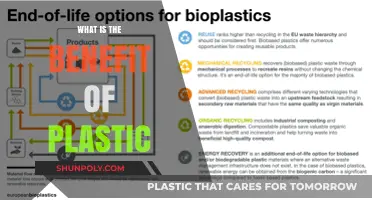Plastic's Pros: Convenience, Affordability, and Durability