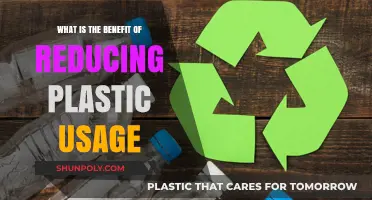 Sustainable Living: The Positive Impact of Cutting Down on Plastic