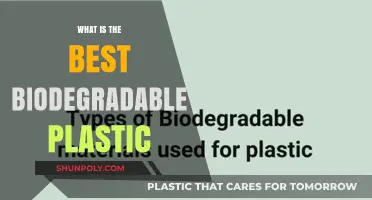 The Green Plastic Revolution: Best Biodegradable Options