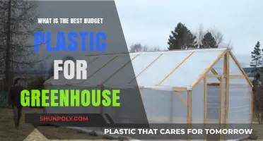 Optimal Budget Plastics for Your Greenhouse: A Comprehensive Guide