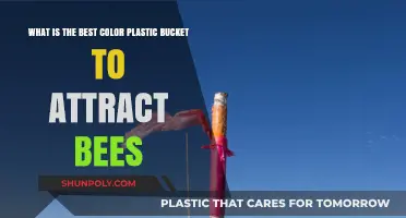 The Buzz on Buckets: Which Plastic Color Attracts Bees Best?