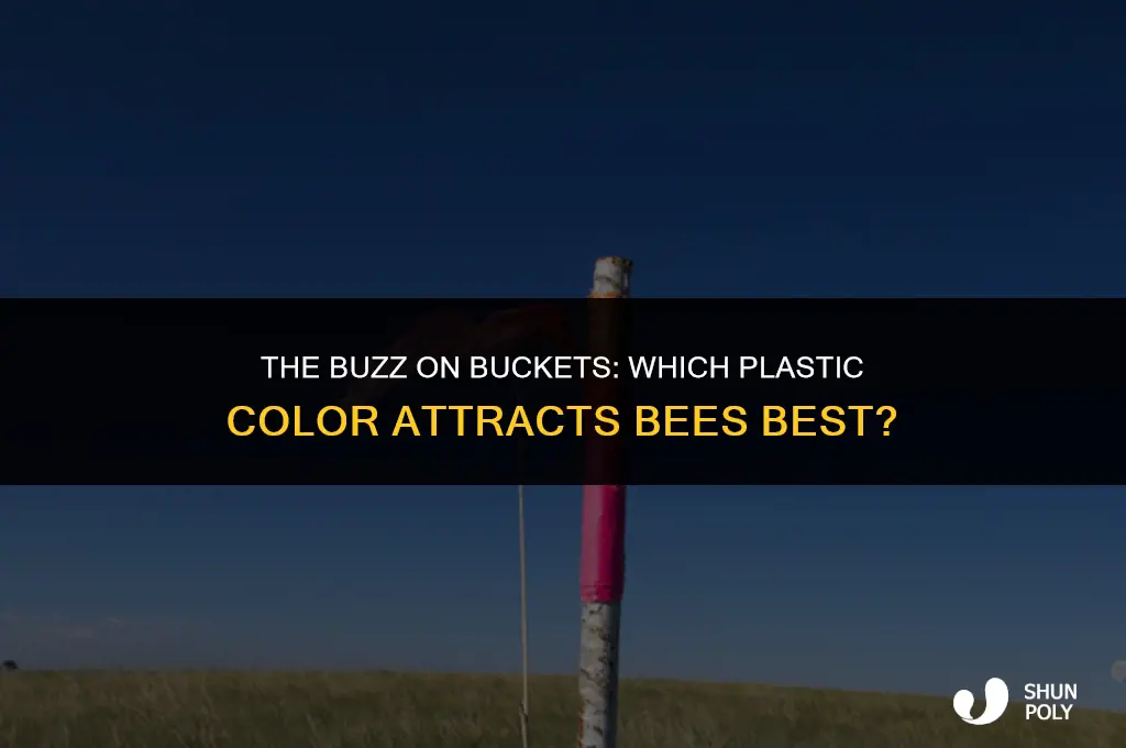what is the best color plastic bucket to attract bees