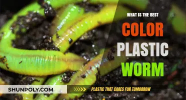 Best Plastic Worm Colors: Catch More Bass