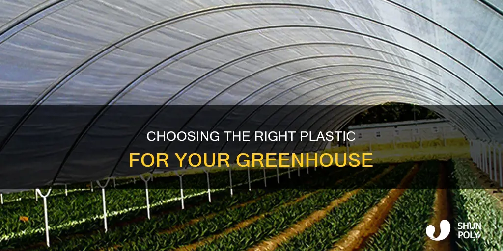 what is the best greenhouse plastic