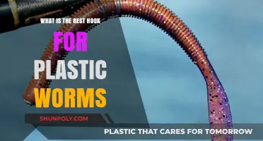 Mastering the Art of Fishing: The Ultimate Guide to Choosing the Best Hook for Plastic Worms