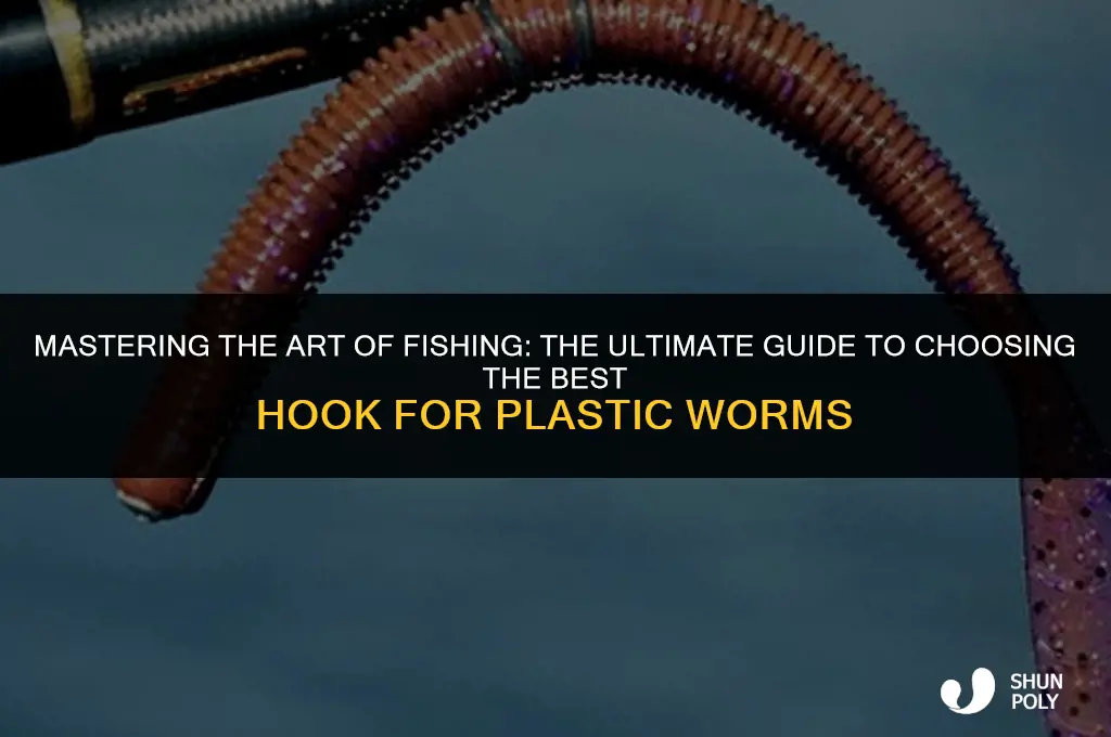 what is the best hook for plastic worms