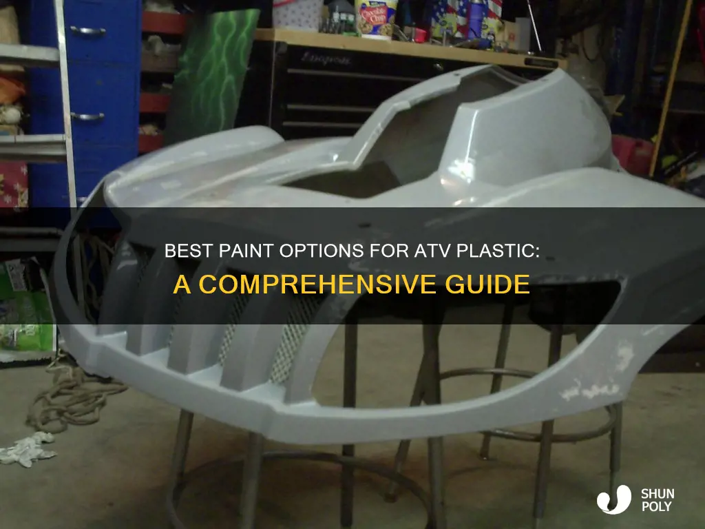 what is the best paint for atv plastic
