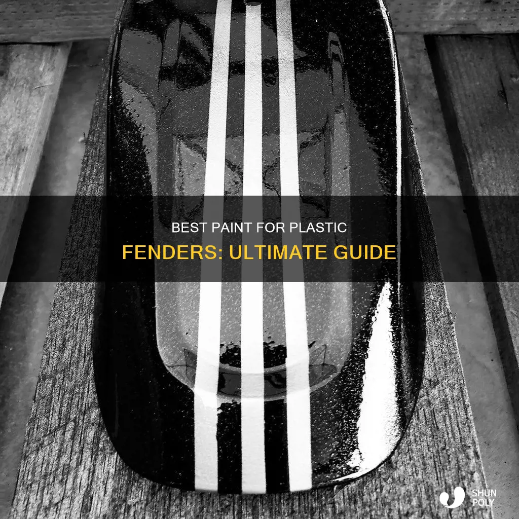 what is the best paint for plastic fenders