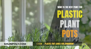 Best Paint for Plastic Plant Pots: A Guide