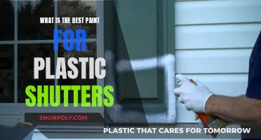 Best Paint for Plastic Shutters: Long-Lasting and Durable Options