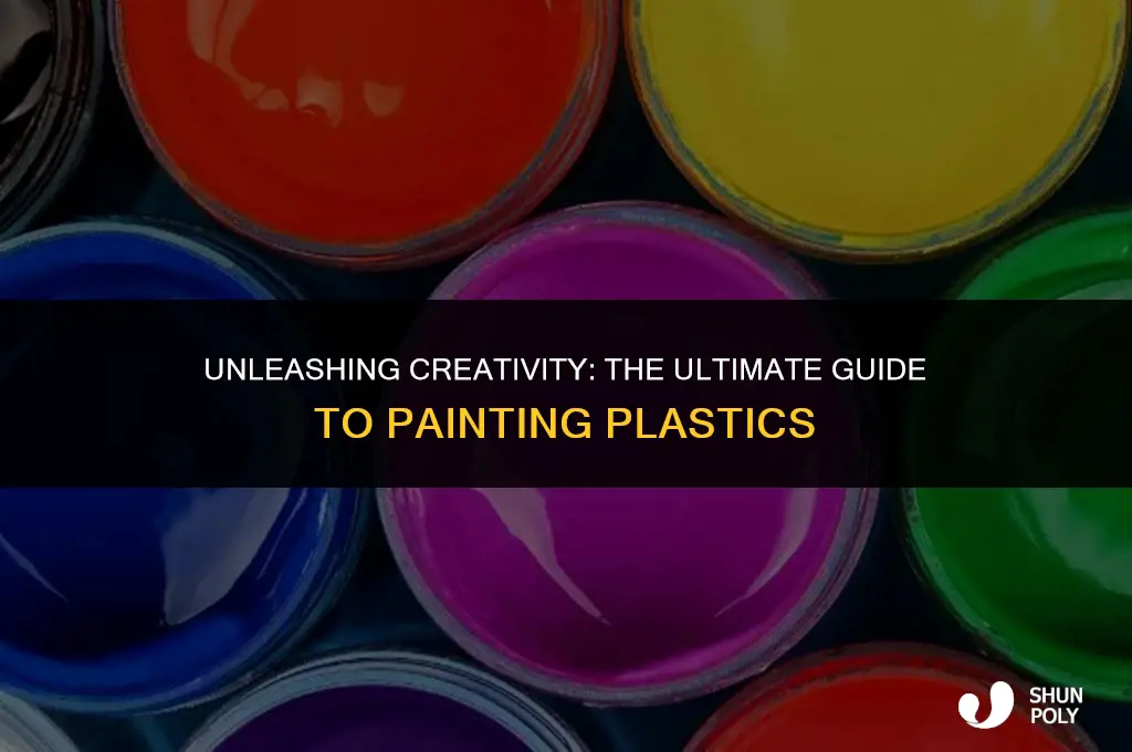 what is the best paint to use for plastics