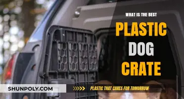 Best Plastic Dog Crates: Safe, Secure, and Comfortable