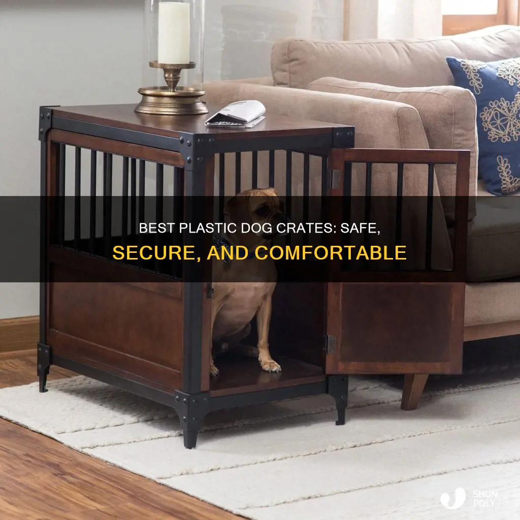 what is the best plastic dog crate