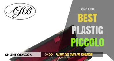 Best Plastic Piccolo: Find Your Perfect Practice Partner