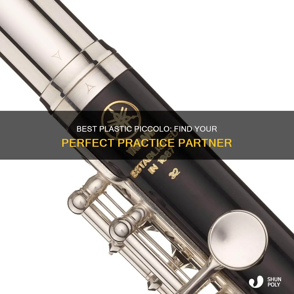 what is the best plastic piccolo