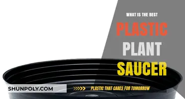 Best Plastic Plant Saucers: Sturdy and Reliable Options