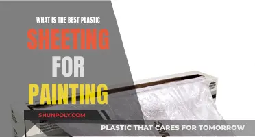 Choosing the Right Plastic Sheeting for Painting