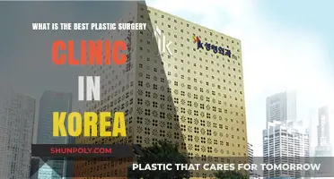 Top Korean Plastic Surgery Clinics: Expertise, Safety, and Transformative Results