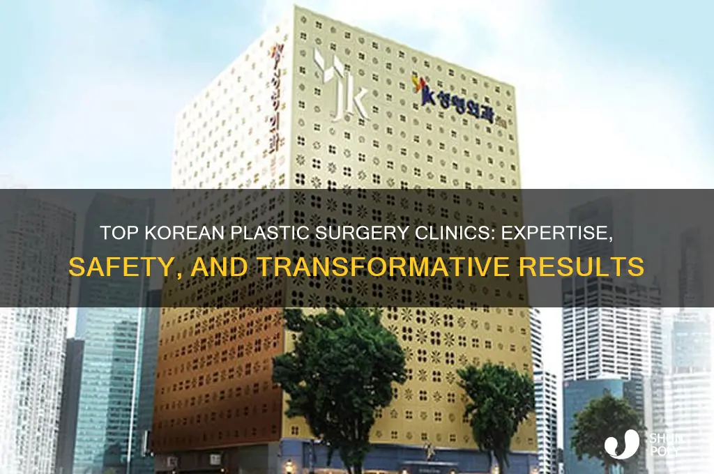 what is the best plastic surgery clinic in korea