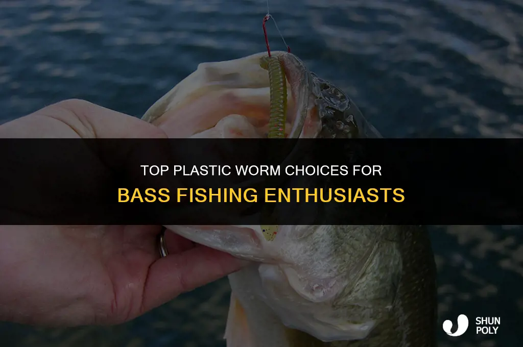 what is the best plastic worm for bass fishing