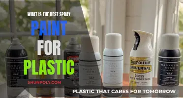 Best Spray Paints for Plastic: Top Recommendations and Tips