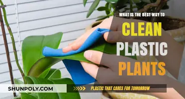 Effective Cleaning Tips for Maintaining Lifelike Plastic Plants at Home