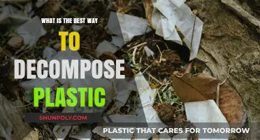 Eco-Friendly Solutions: How to Decompose Plastic Responsibly