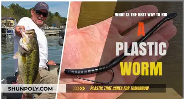 Mastering the Art of Rigging a Plastic Worm for Optimal Fishing Results