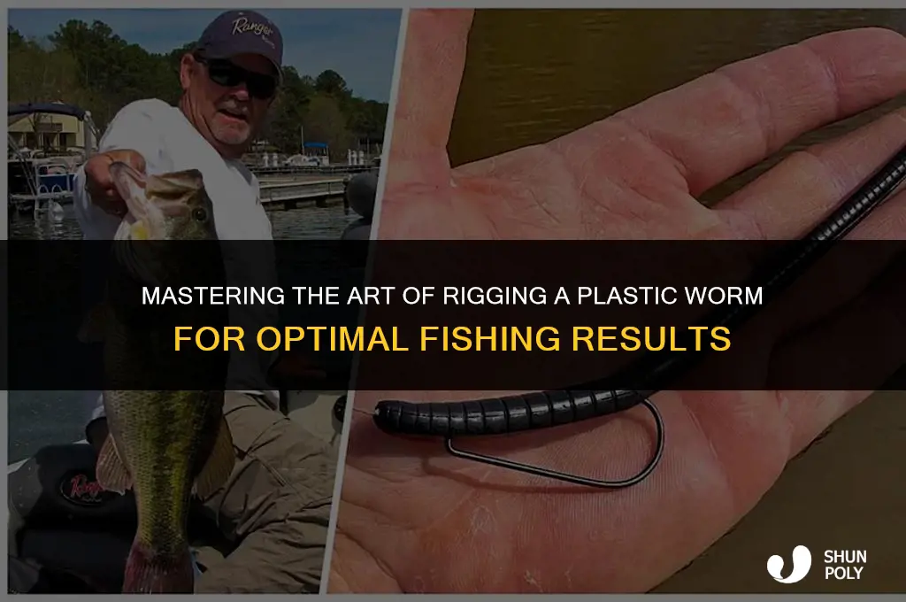 what is the best way to rig a plastic worm