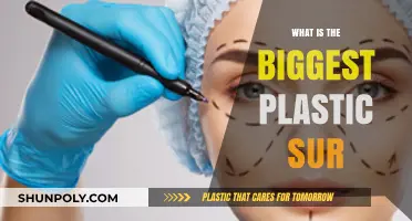 Plastic Surgery's Most Popular Procedures Explained