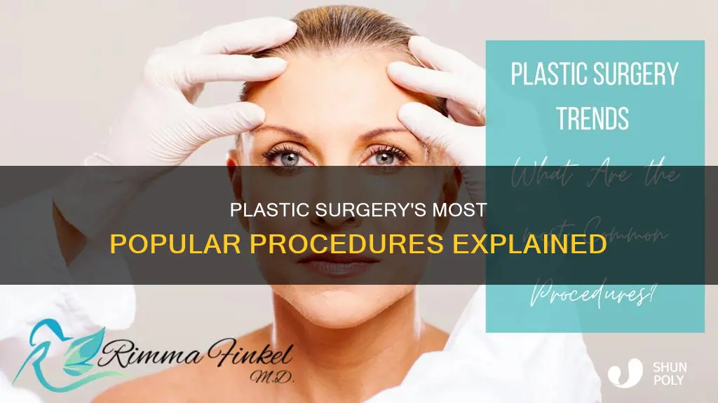 what is the biggest plastic sur